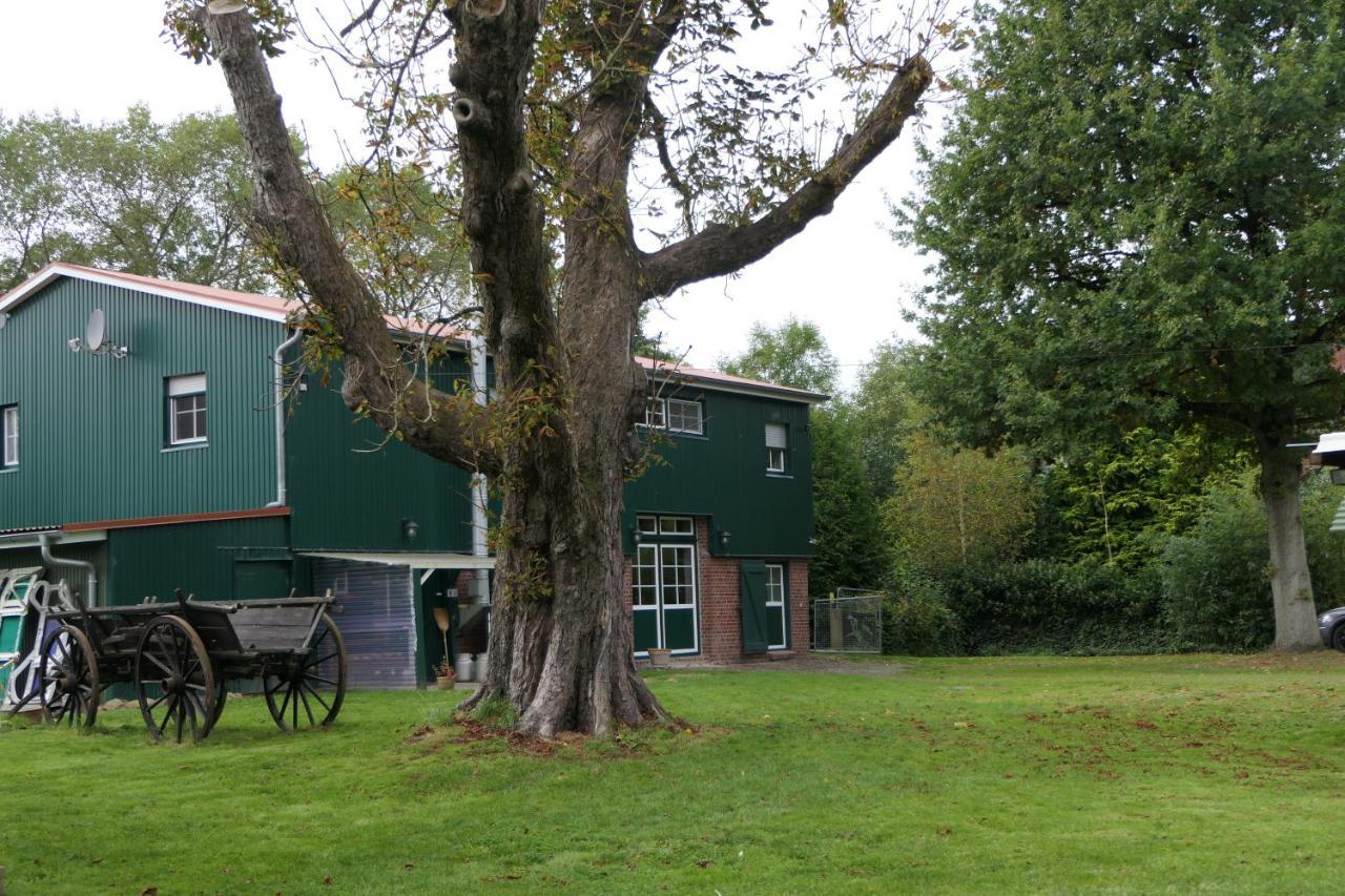 Ferienwohnung Weideglück Osten Exterior foto